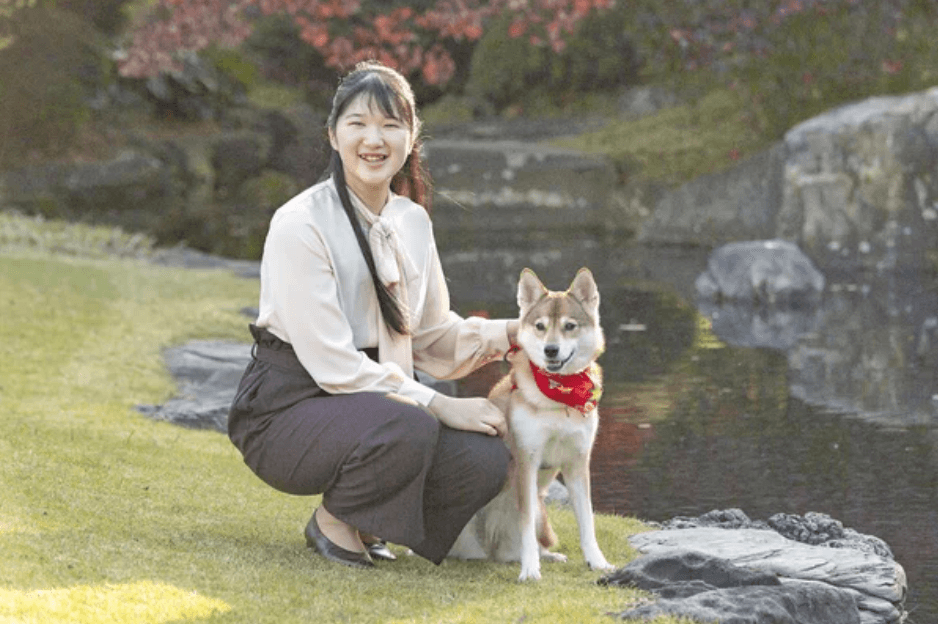 愛子さまの愛犬の名前は ゆり 保護犬からロイヤル犬への歩み