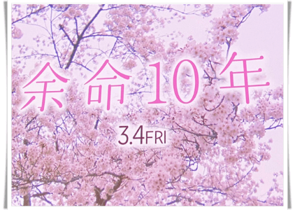 映画余命10年桜並木画像