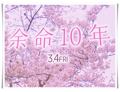 映画余命10年桜並木画像