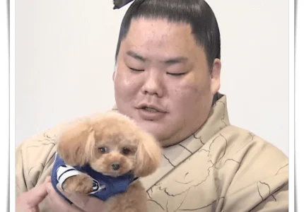 大栄翔関アイキャッチ画像