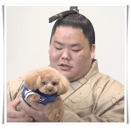 大栄翔関アイキャッチ画像