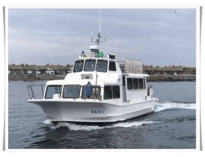 観光船アイキャッチ画像