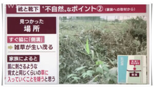 南朝芽ちゃん画像